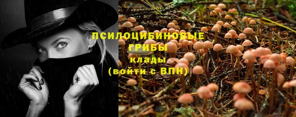 ALPHA-PVP Алексеевка