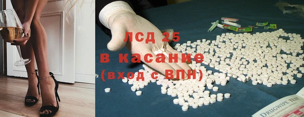 стаф Алексин