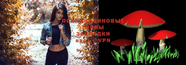 спиды Алзамай
