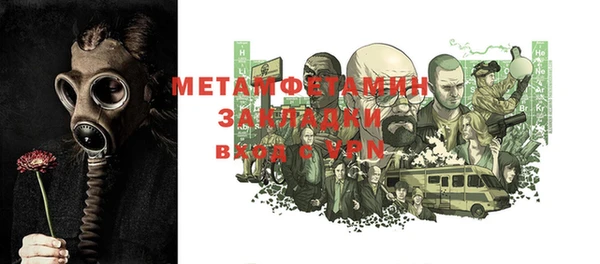 шишки Осташков