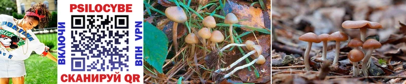 Галлюциногенные грибы MAGIC MUSHROOMS  где найти   Пласт 